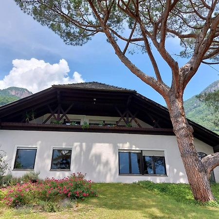 Villa Pinie Apt 1 Terlano Exterior photo